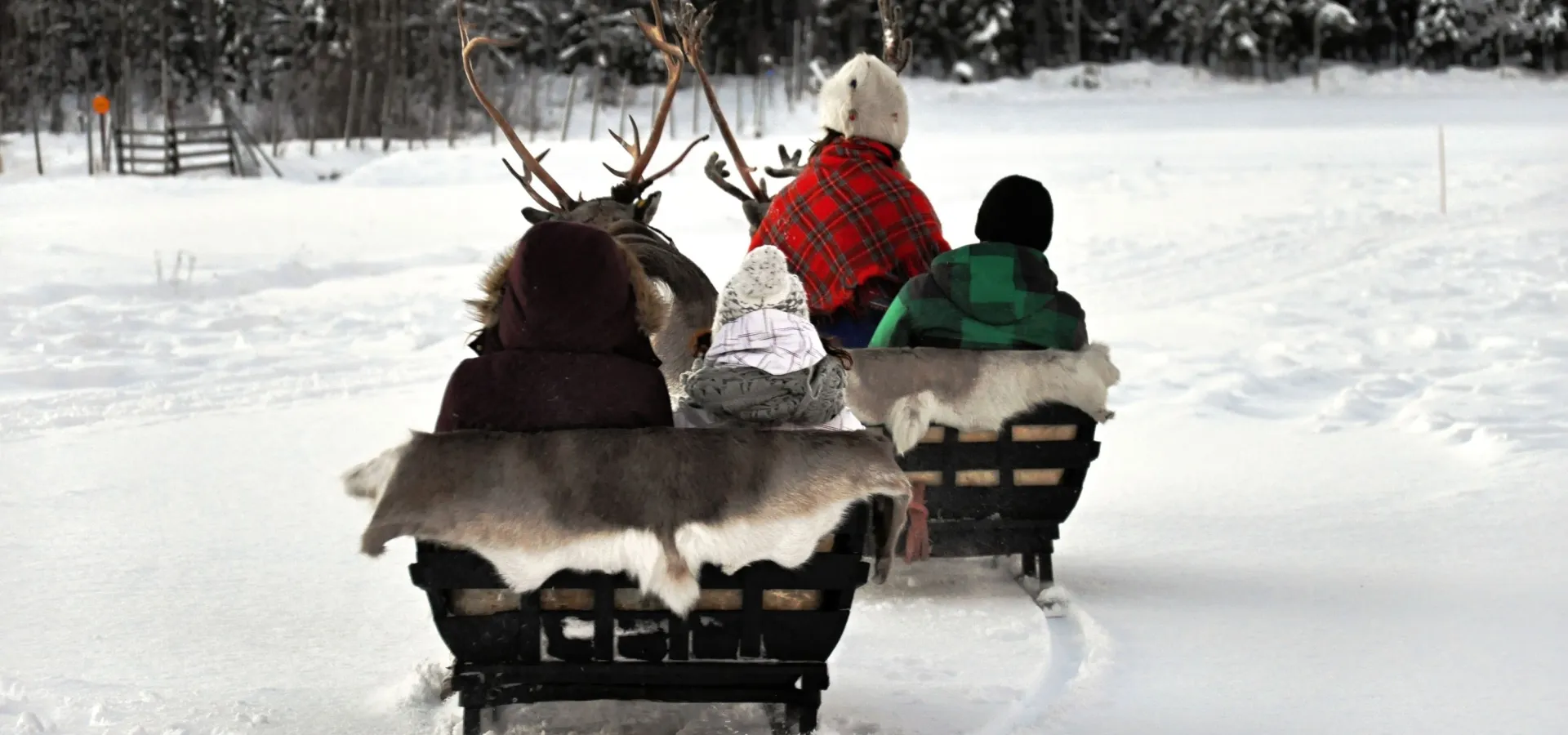 Arctic Route Tromsø - Rovaniemi - Tromsø 106