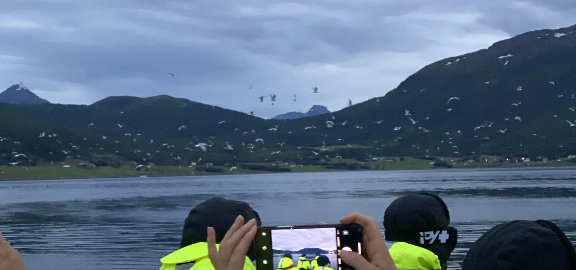 Reisafjorden rundt