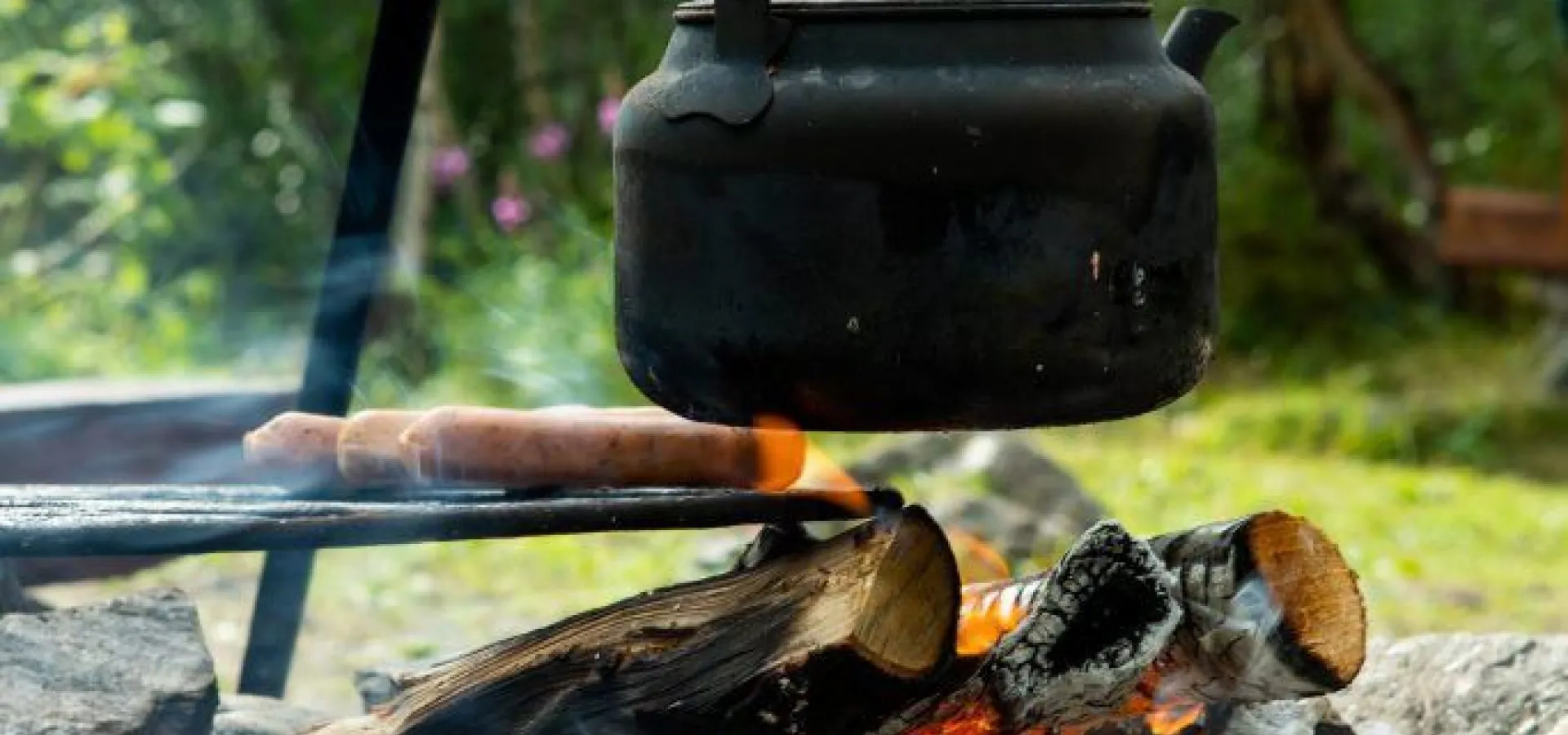 Elvebåtsafari til Mollisfossen - Reisa Nasjonalpark