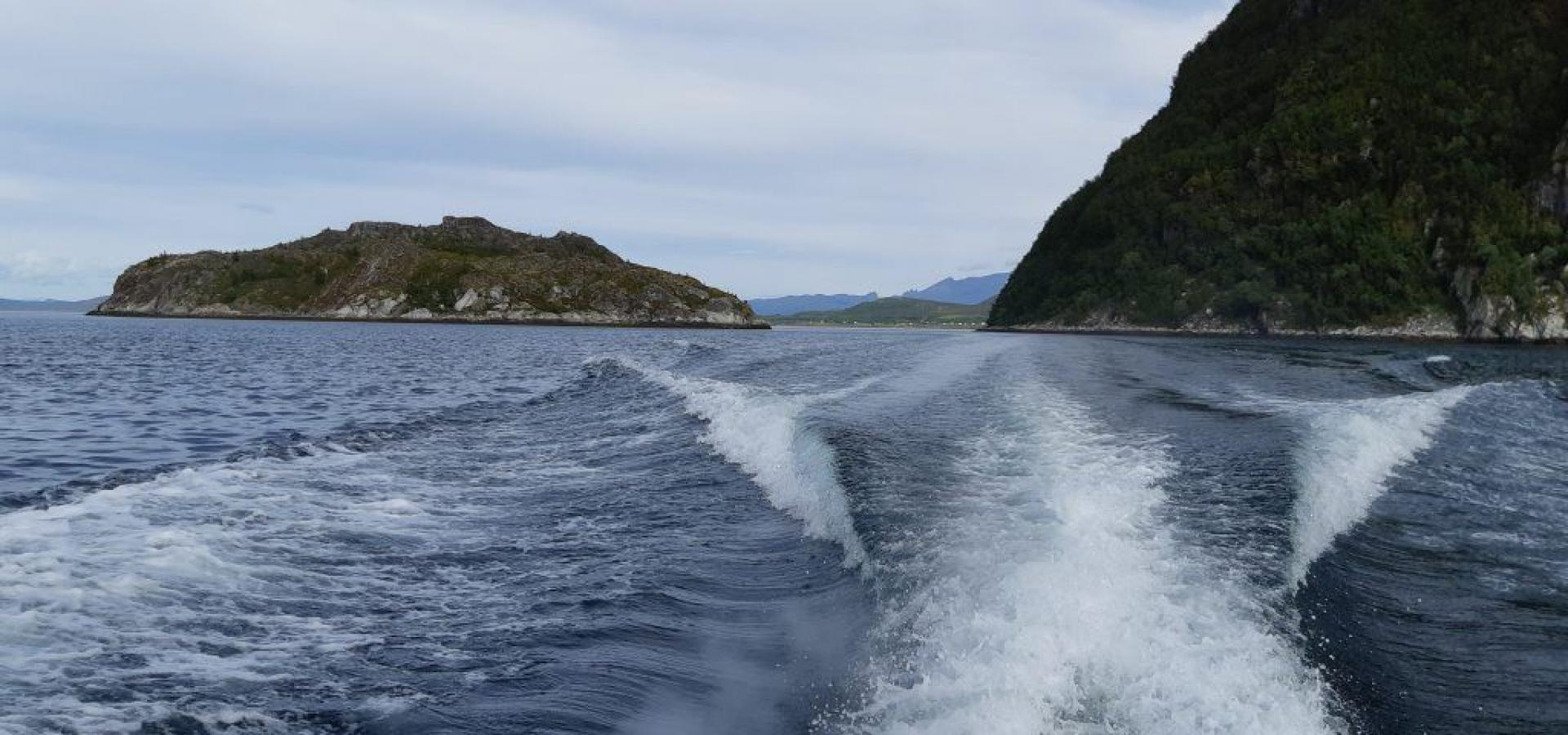 Fjordfiske - Amazing Troms