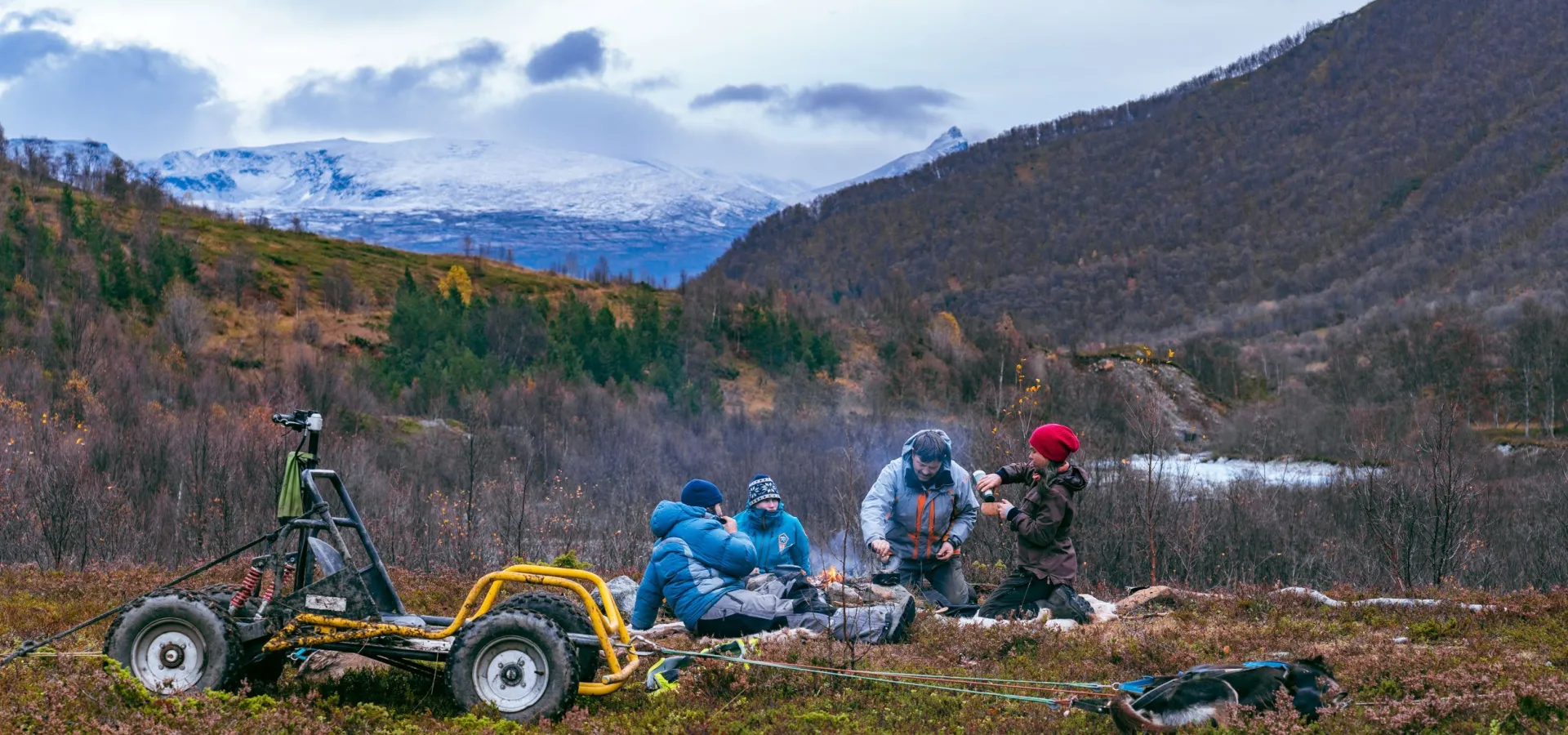 Hundesledetur på hjul - Lyngen Outdoor Experiences