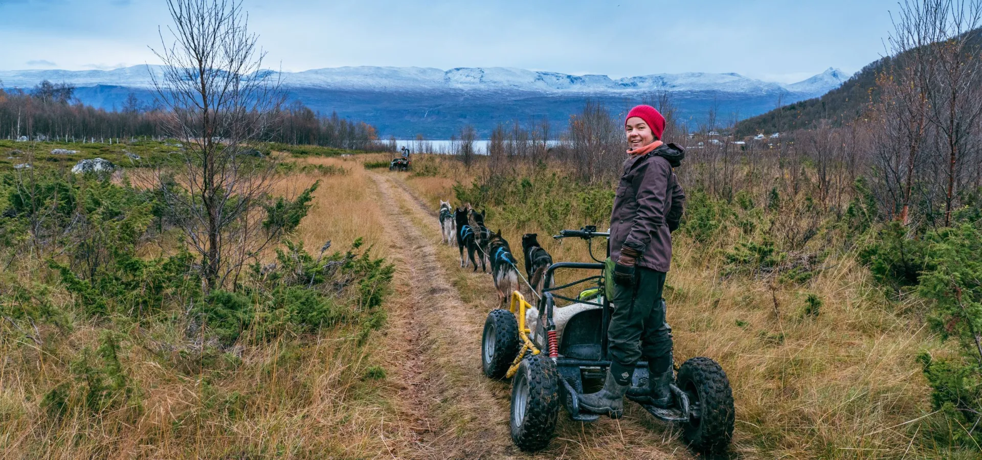 Hundesledetur på hjul - Lyngen Outdoor Experiences