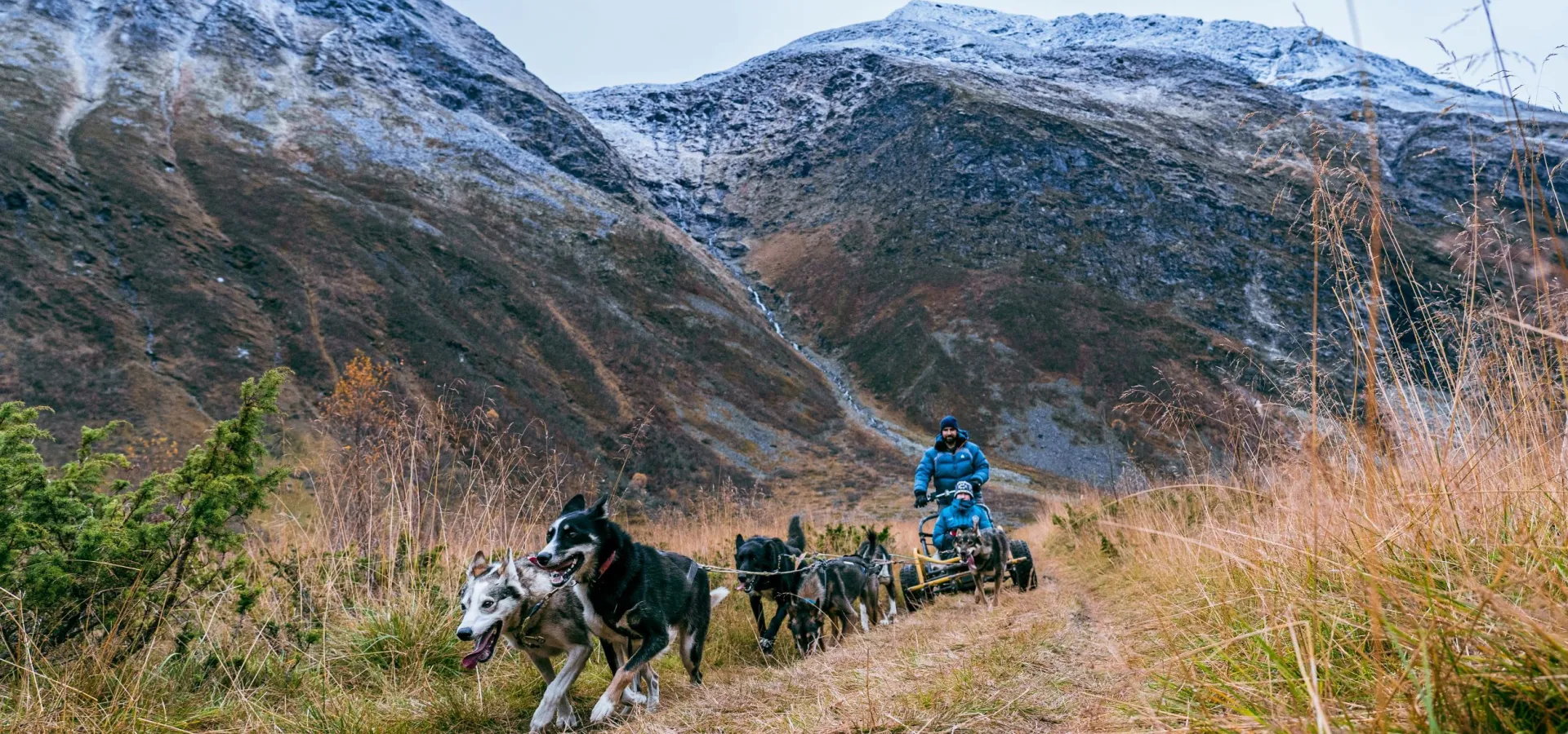 Hundesledetur på hjul - Lyngen Outdoor Experiences