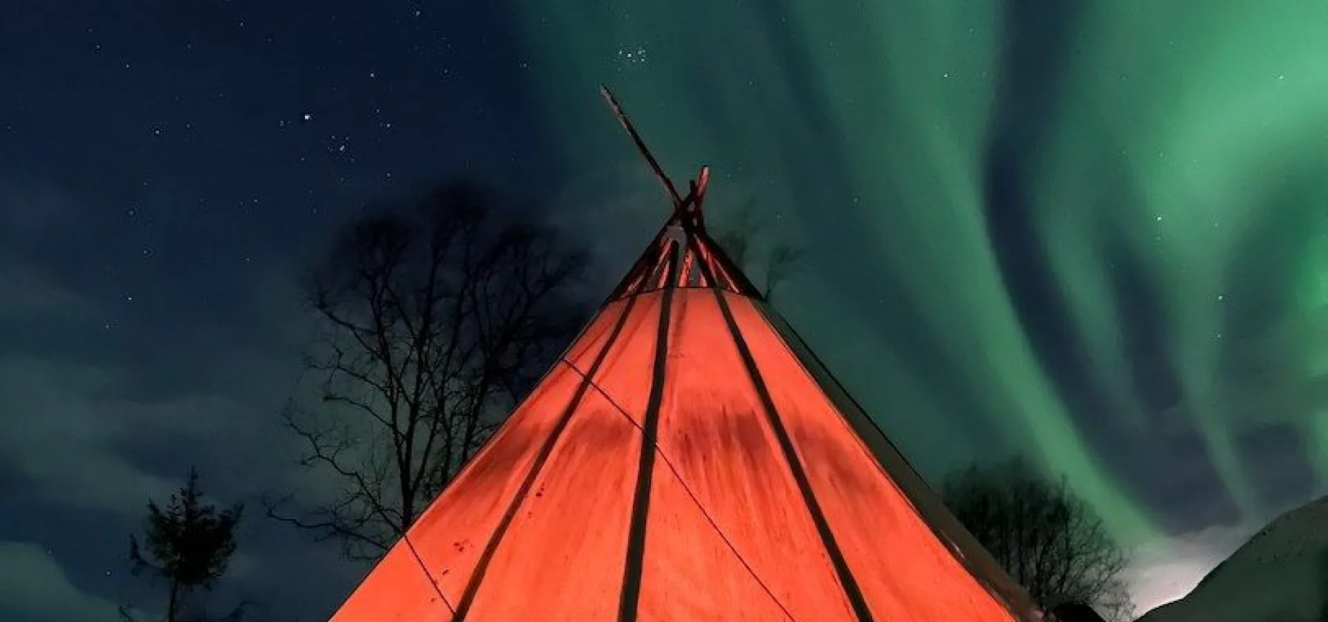 North Experience