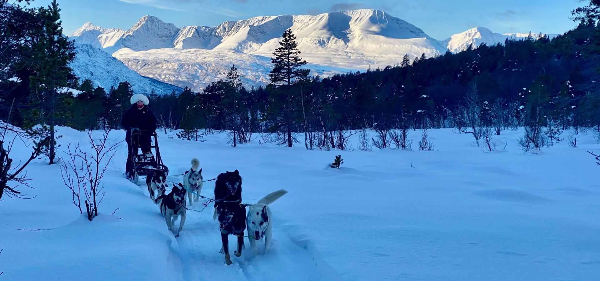 34 hr Aurora Hut, Snowmobile safari and dog sledding experience