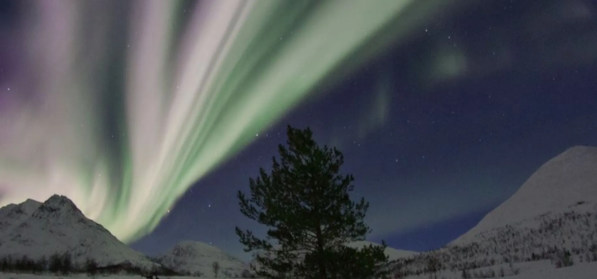 Snøskutersafari i nordnorsk natur - kveldstur med North Experience