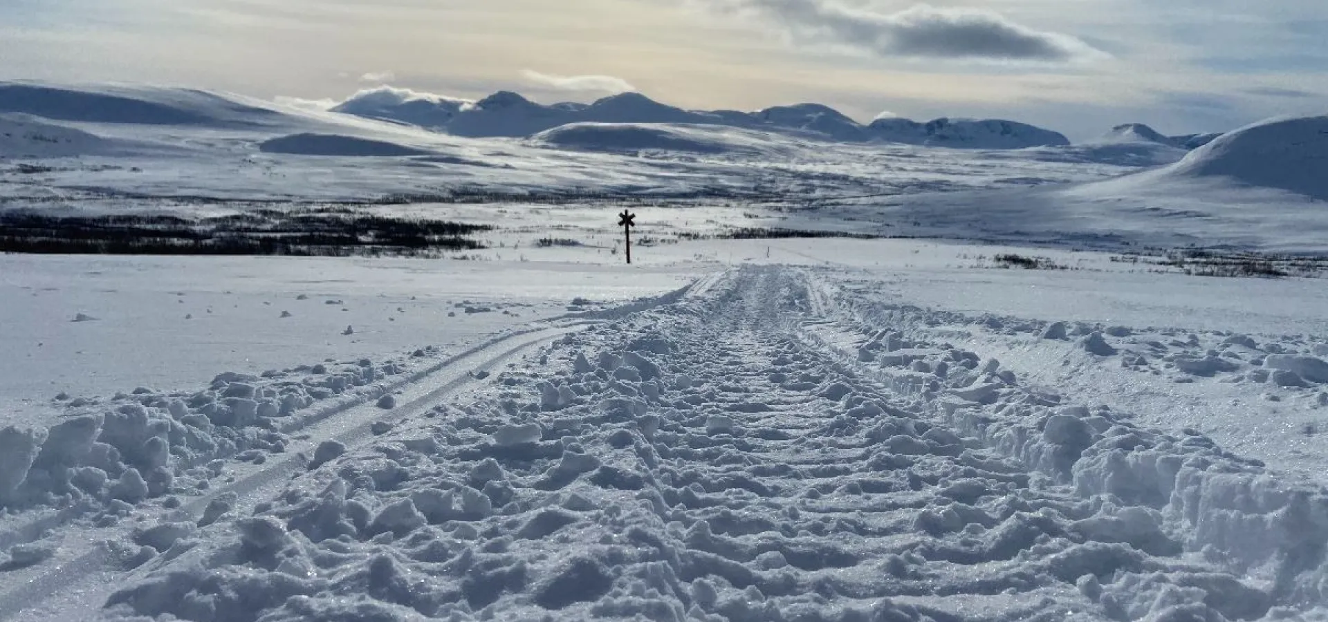 Snøskutersafari i nordnorsk natur - dagstur med North Experience