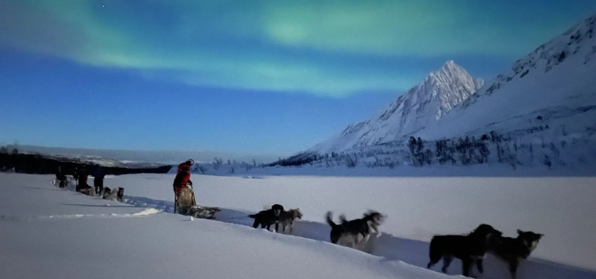 Lyngen Husky Safari