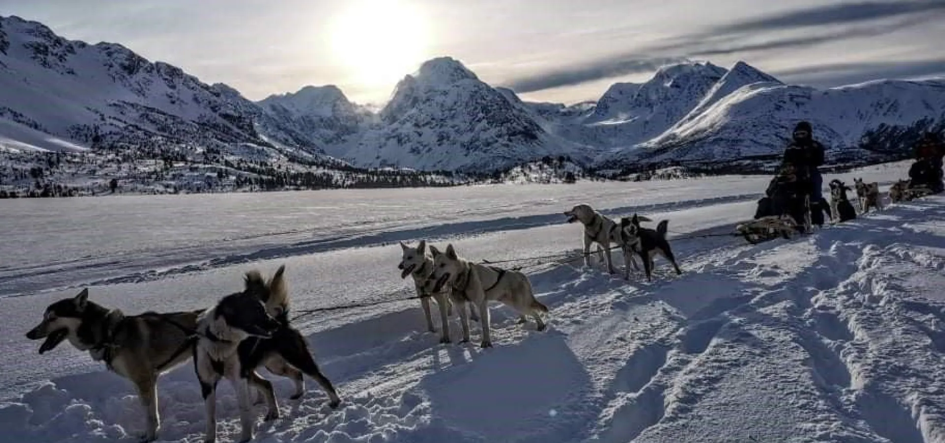 Lyngen Husky Safari - Daytrip from Tromsø