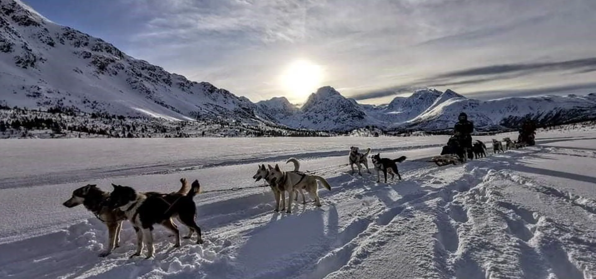 14:00 Lyngen Husky Safari med transfer fra Svensby