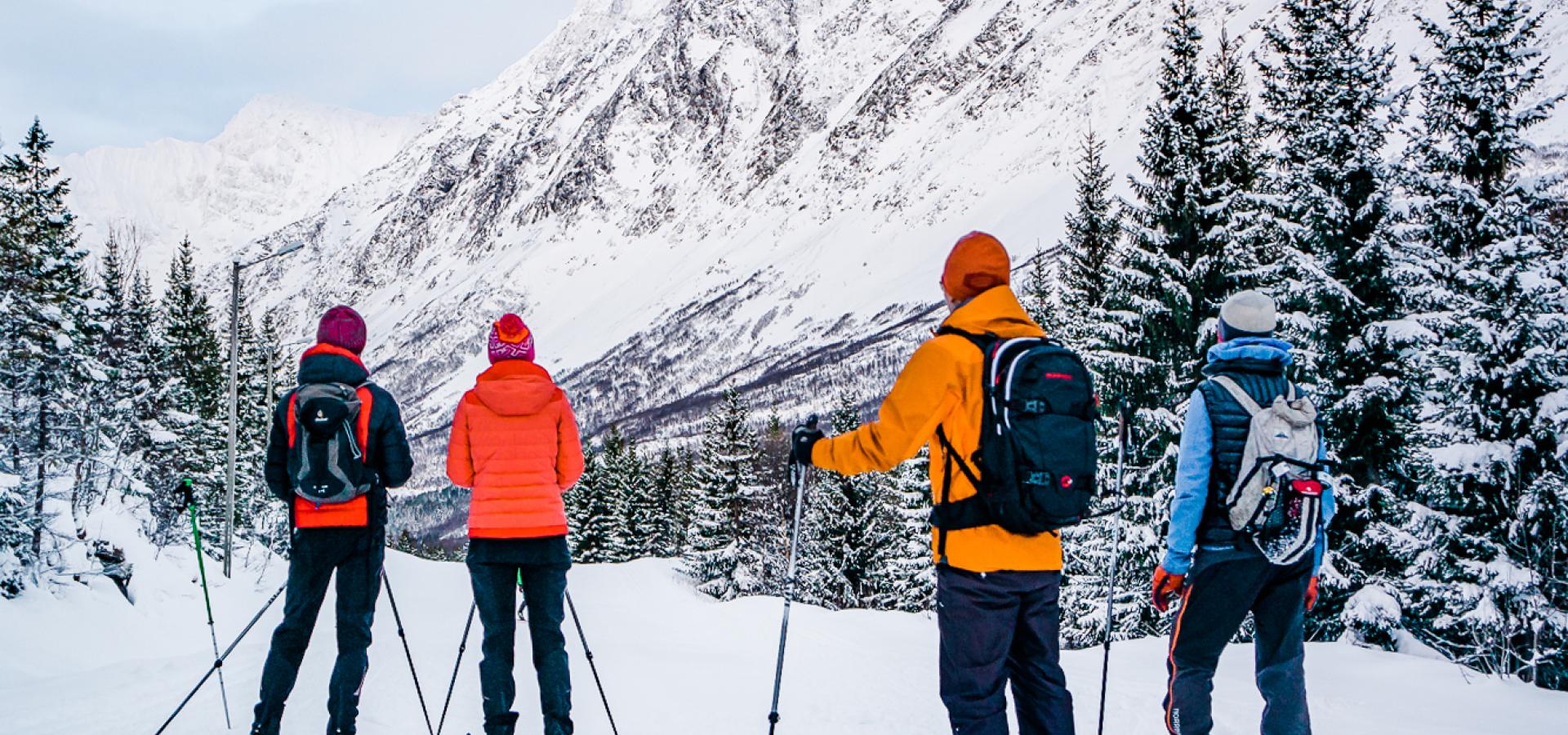 People skiing in the Lyngen Alps