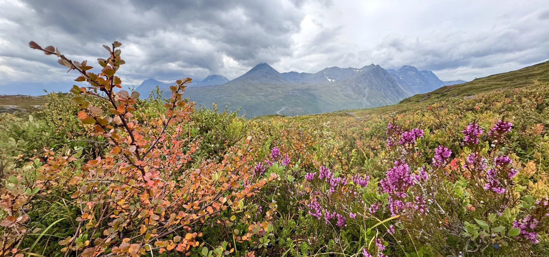 An autumn view from Lyngen to Kåfjord_Pauliina Toivanen