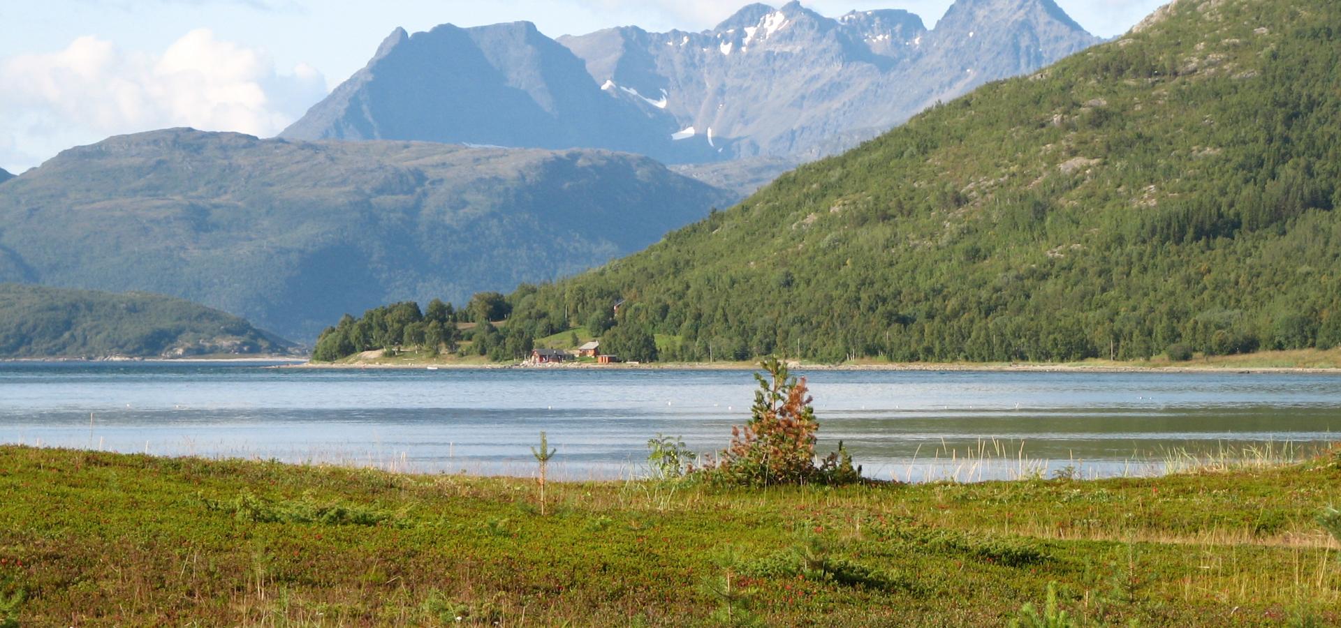 Flat green landscape, the fjord and mountains in the background