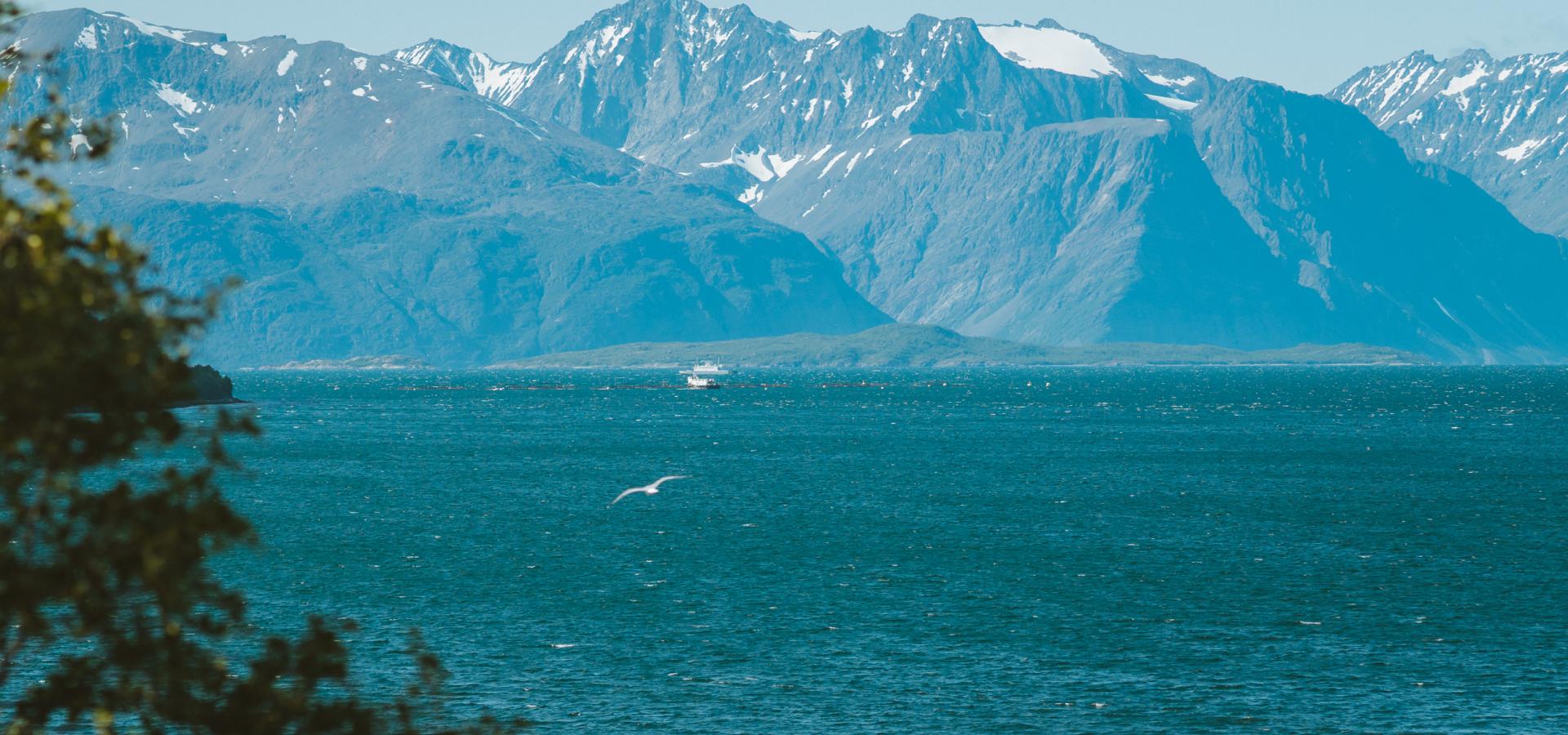 The Lyngenfjord with the Kåfjord mountains in the background and the ferry on the fjord