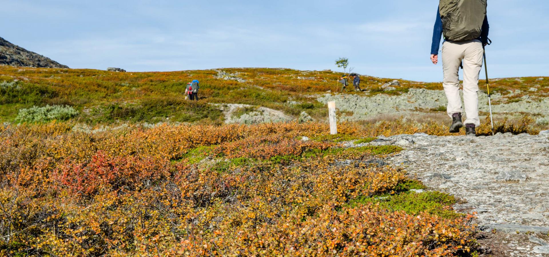 Turgåere på tursti mellom Kilpisjärvi og Halti