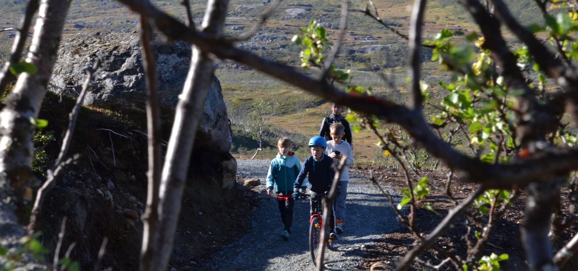 Kids biking along a gravelpath