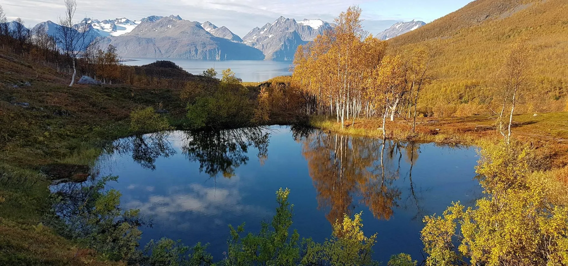 Liten innsjø omkranset av høstfarger, i det fjerne ser vi Lyngsalpene