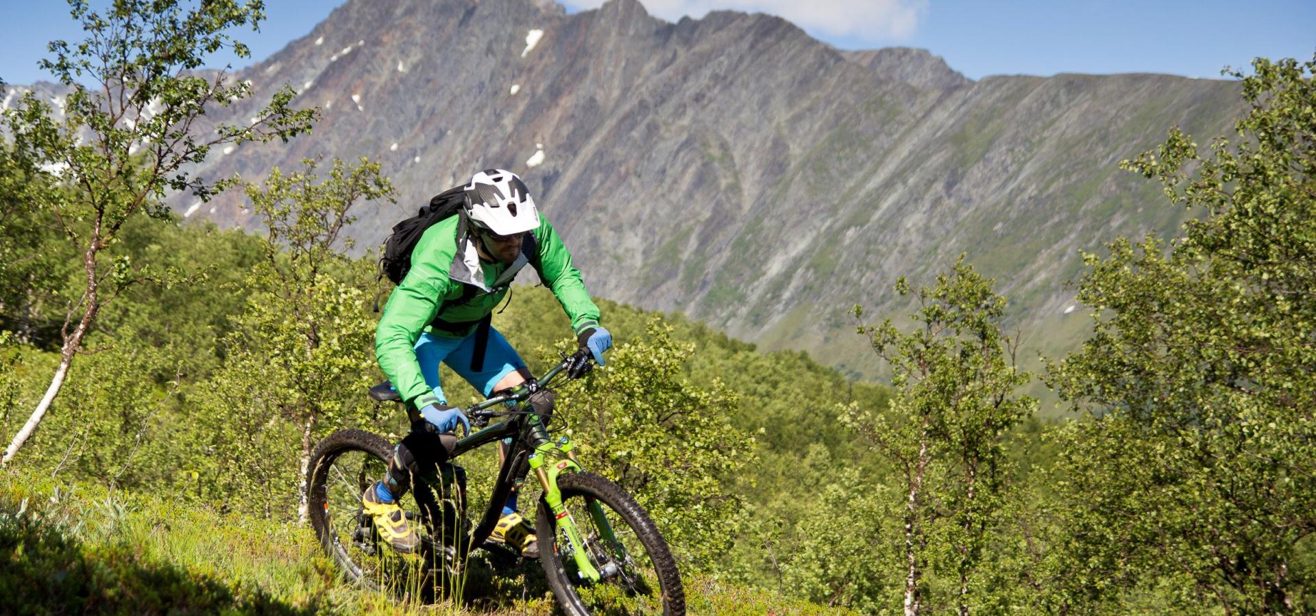 Mountain biker following a trail downwards, mountain in the background