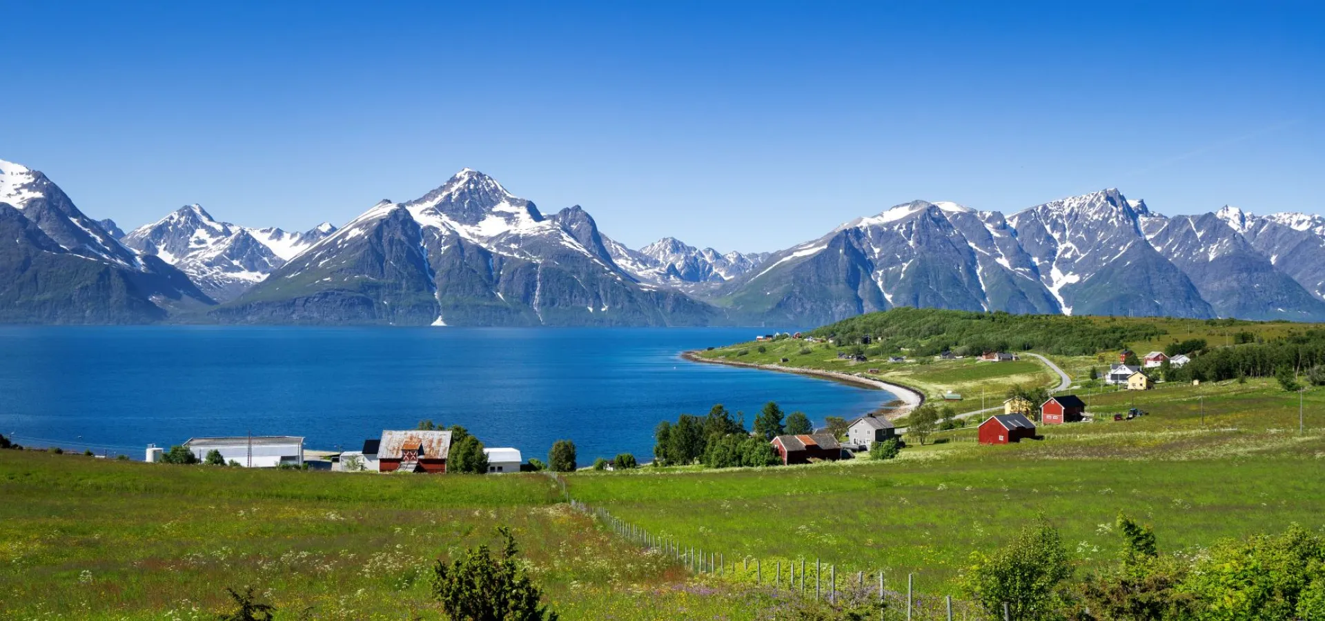 Djupvik en sommerdag, med grønt gress, lyngsalpene og blå himmel