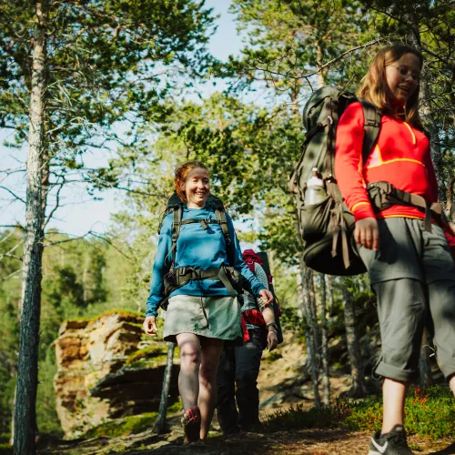 3 women hiking in the pine forest in Skibotn