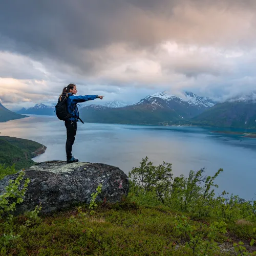 Utsikt mot Lyngsalpene og Lyngenfjorden fra Revdalen