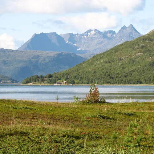 Flat green landscape, the fjord and mountains in the background