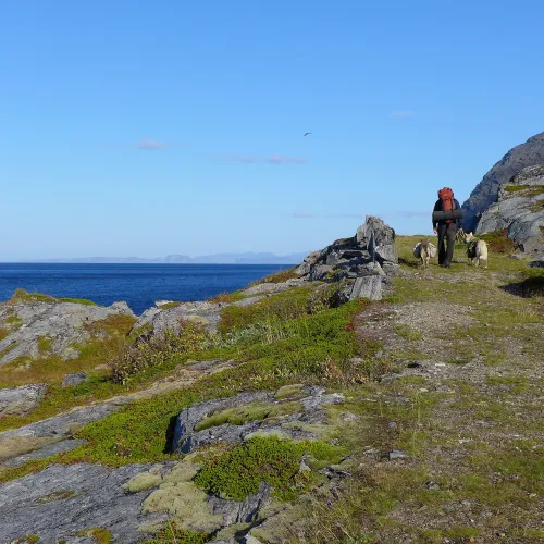 A hiker and his dog walking along a path by the coast