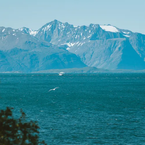 Lyngenfjorden med Kåfjordfjellene i bakgrunnen og ferga på fjorden