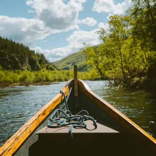Front of a riverboat heading upstream