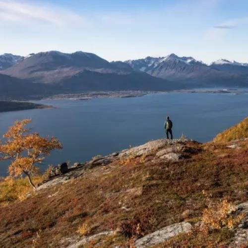 En person nyter utsikten over Lyngenfjorden fra toppen av Gentlemansteinen