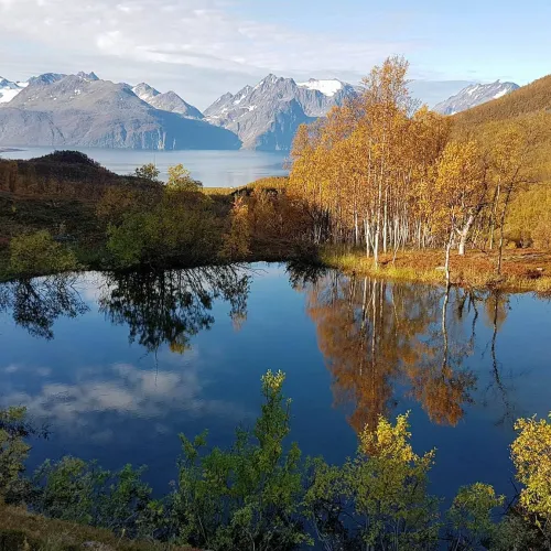 Liten innsjø omkranset av høstfarger, i det fjerne ser vi Lyngsalpene