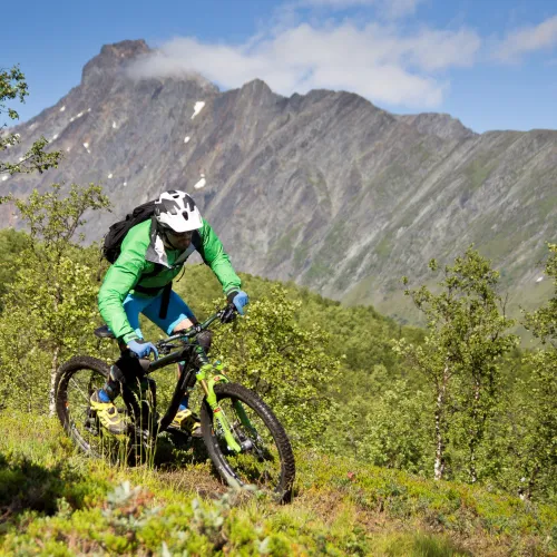 Mountain biker following a trail downwards, mountain in the background