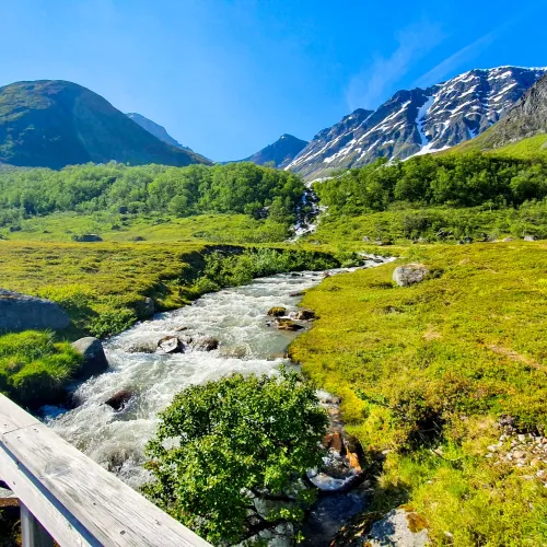 Wooden bridge across a small river surrounded by lush green landscape