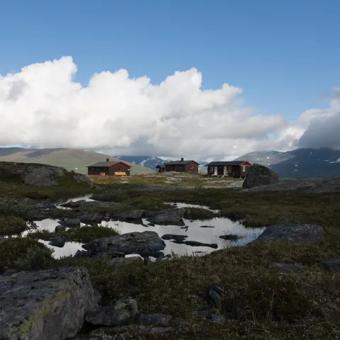 Cabins in the mountains