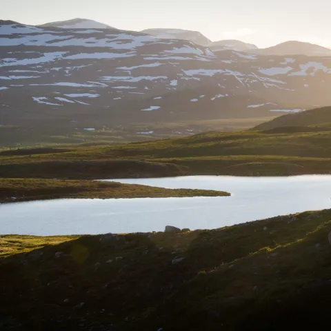 A lake lighted up by the evening sun, snow capped mountain in the background