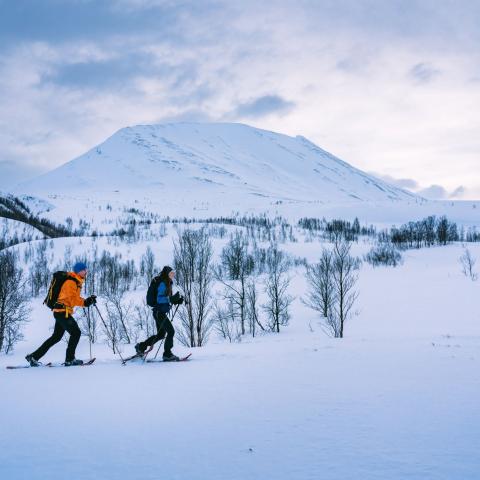 A man and a woman snowshoeing in wintertime.