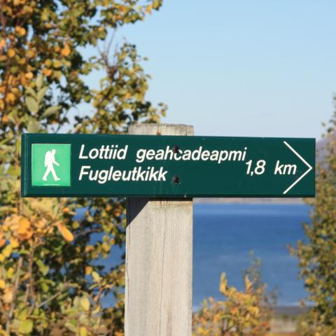 Green signpost for the birdlookout