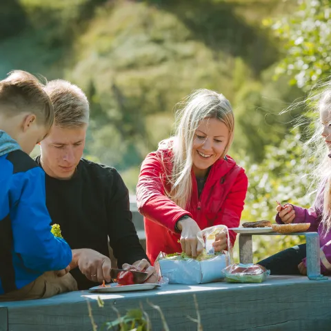 Familie som griller ute en solskinnsdag