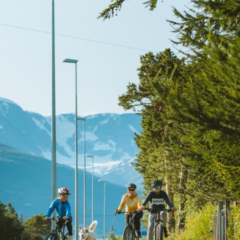 Familie på sykkeltur en sommersdag i Skibotn