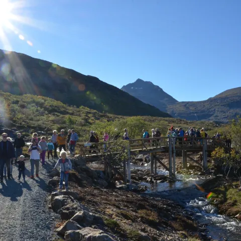 Årvikmarka, Arnøya - Skjervøy