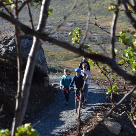 Kids biking along a gravelpath