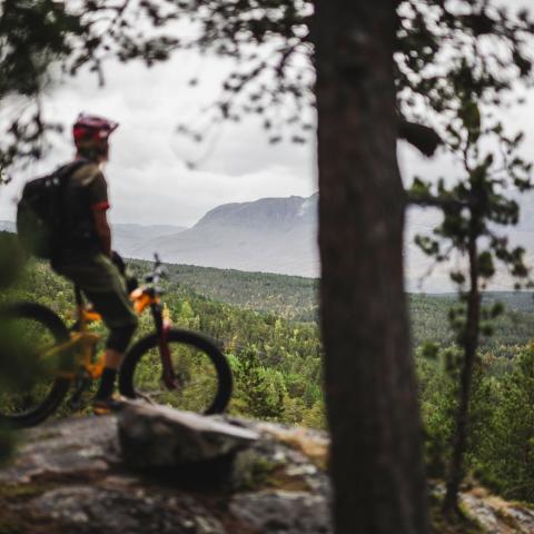 Nyter utsikten på sykkelsetet i Lyngenfjordregionen