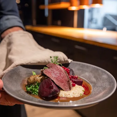 Reindeer served at Aika Restaurant Cahkal