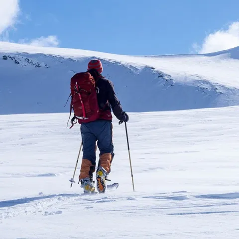 Ski tourer on the way to the summit in sunshine