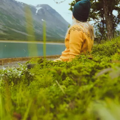 Slapper av i lyngen en sommersdag ved Lyngsalpene
