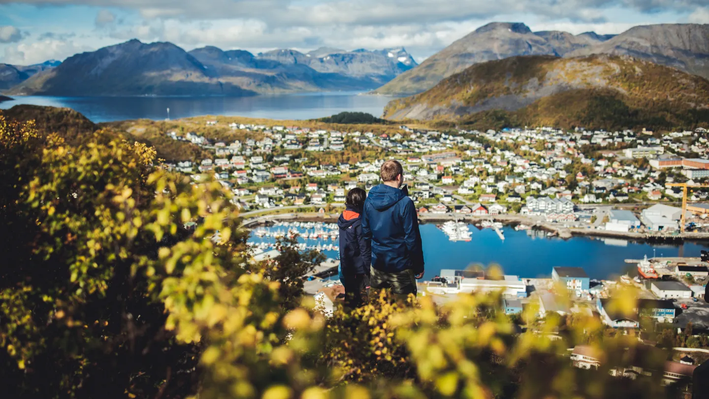 Autumn colours up in the hills, view of Skjervøy