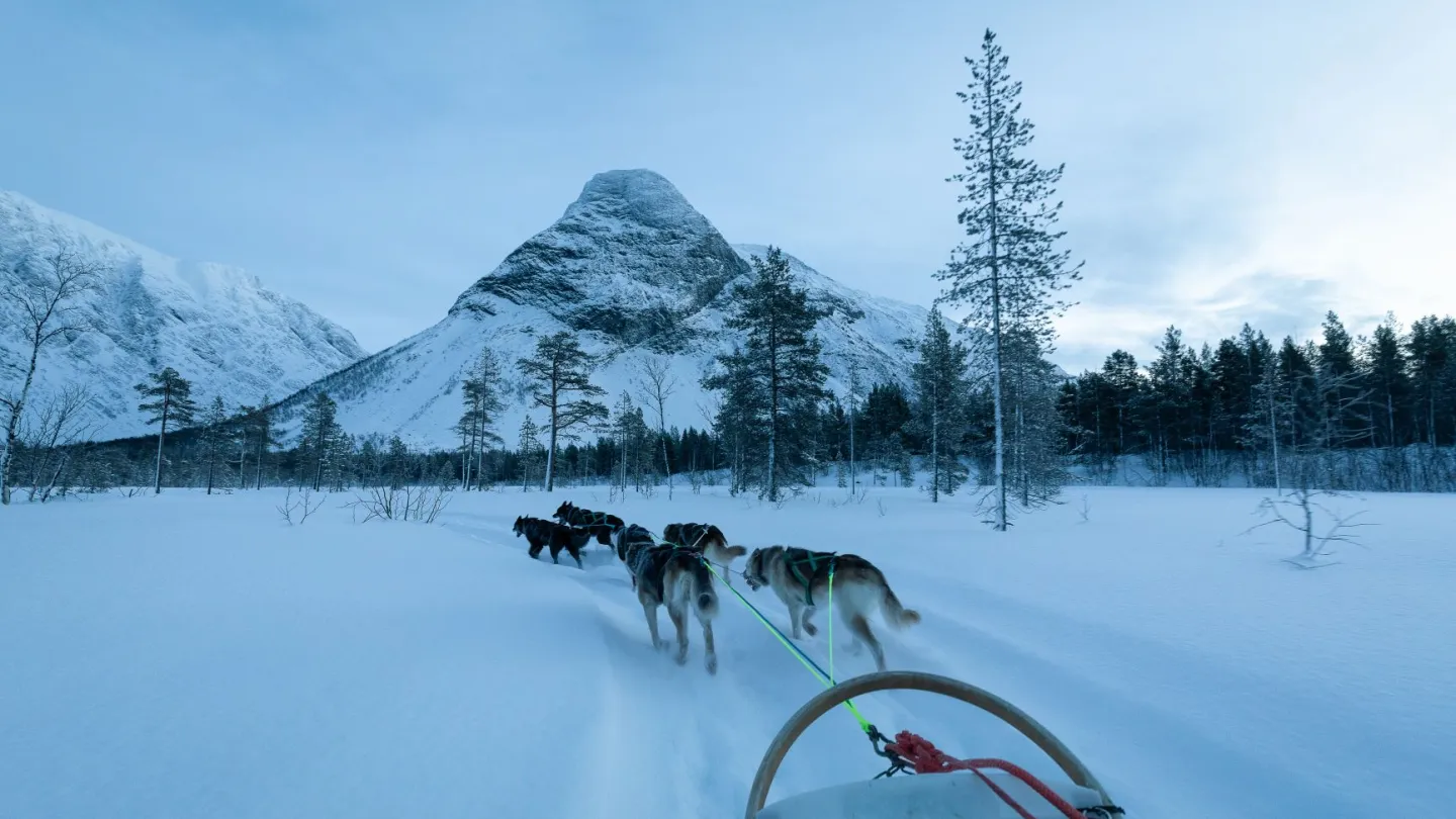 Dogsledding in the Reisavalley