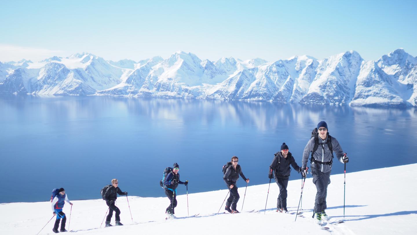 En gruppe på tur opp Storhaugen på ski, med Lyngenfjorden og Lyngsalpene i bakgrunnen