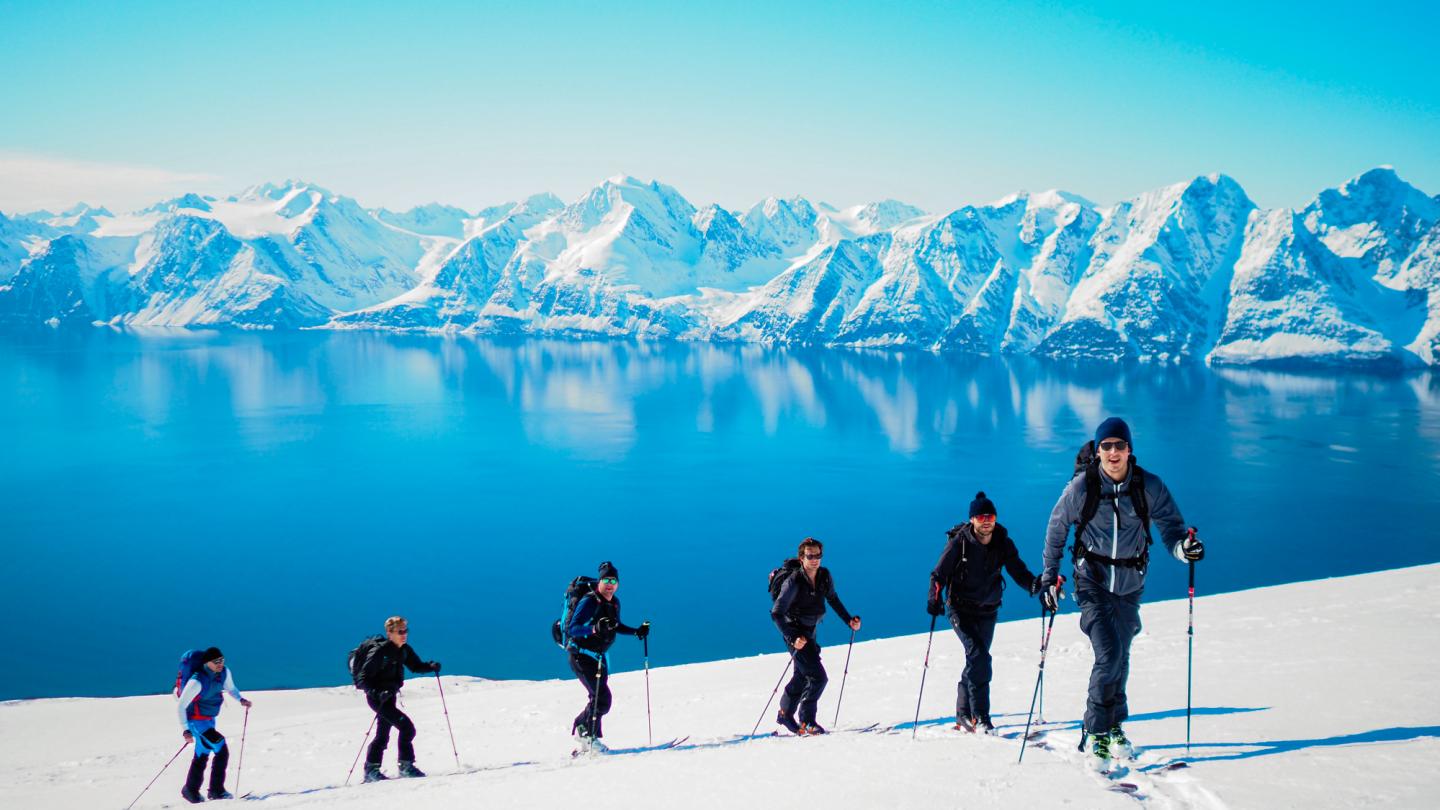 A group of people ski touring in Lyngen