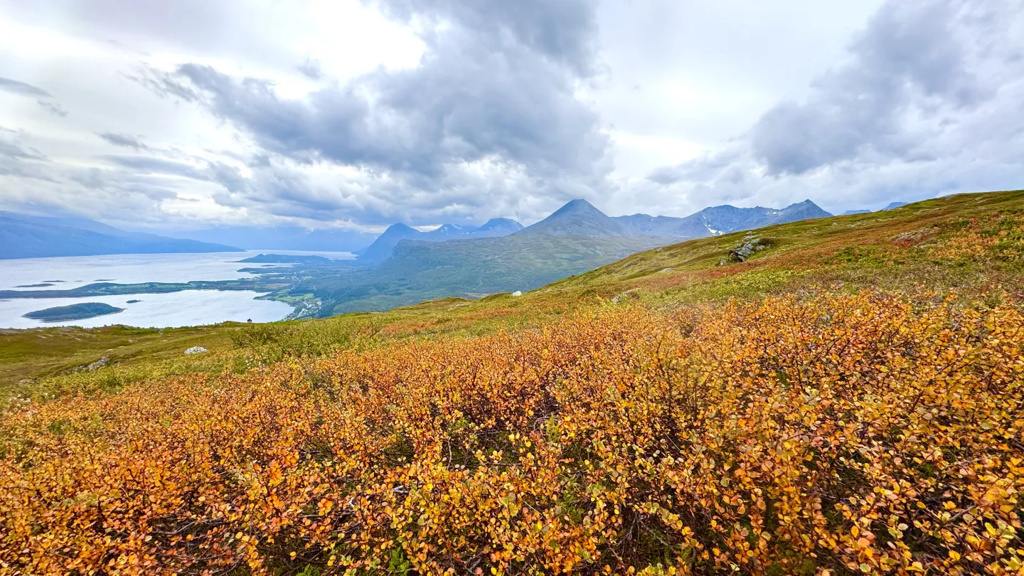 Autumn colours in Lyngen Alps_Pauliina Toivanen
